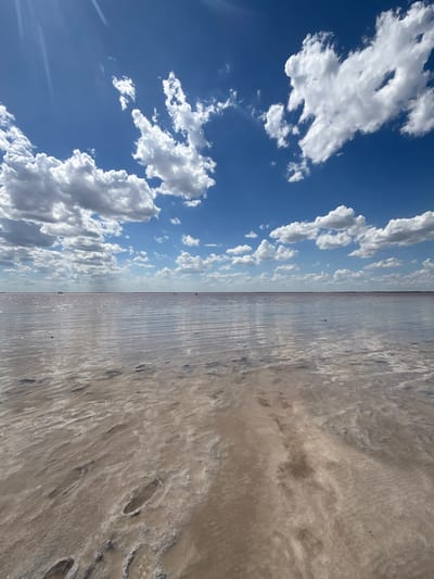 The image depicts a vast, shallow body of water, likely a salt lake, under a bright blue sky dotted with fluffy white clouds. The water exhibits a subtle pinkish hue, suggesting high salinity. The foreground shows a textured, sandy or muddy shoreline with visible footprints and ripples, indicating the shallow nature of the water. In the distance, several small figures can be seen wading or standing in the water. The horizon line is indistinct, merging the water and sky. The overall impression is one of a serene, natural landscape under a clear, sunny day. The location is identified as Bursol', Russia.