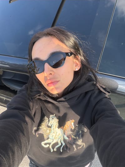A casual, brightly lit selfie shows a person from a low, slightly upward angle, capturing their upper body and face. The subject has dark hair and is wearing black, rounded sunglasses that obscure their eyes. A faint reflection of green foliage is visible on the sunglasses lenses. On the arm of the sunglasses, there is very small, stylized, and mostly illegible text, possibly a brand name like "L.L.C." Their lips are a soft pink shade, and their skin shows the warm glow of sunlight on one side of their face. A small, round, clear stud earring is visible in their right ear.
The person is wearing a black hooded sweatshirt with a prominent graphic print on the front, featuring several horses in dynamic poses, rendered in shades of white, light blue, and various browns/golds. The hoodie's fabric appears textured and comfortable.
The background primarily consists of the glossy, dark surface of a vehicle, likely a car, reflecting the clear blue sky and a few white clouds, indicating an outdoor setting on a sunny day. Parts of the car's interior, possibly a seat, are faintly visible. The angle and reflections suggest the photo was taken next to or from inside a vehicle. The overall mood is casual and relaxed, captured in what is contextually Jastrebarsko, Croatia.