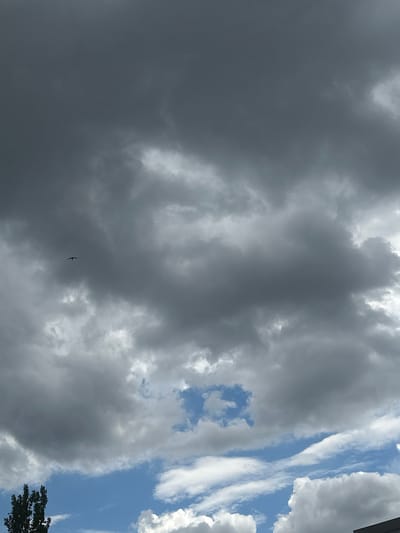 This is a vertical, medium-shot photograph of a cloudy sky with a bird in flight. The sky is a mix of dark, ominous storm clouds on the left and brighter, wispy clouds against a blue sky on the right. There's a sense of impending weather change. A single bird, silhouetted against the darker clouds, is visible in the lower-middle portion of the frame, with its wings spread in flight. The overall mood is somewhat dramatic and naturalistic, capturing a moment of wildlife in a dynamic atmospheric setting. The presence of foliage from a tree is visible at the bottom right edge of the frame, suggesting an outdoor environment.