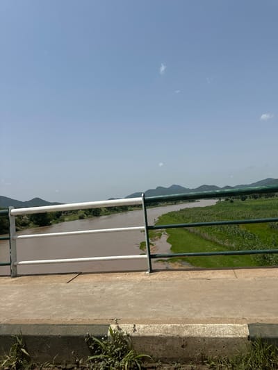 This image depicts a view from a bridge in Lankoviri, Nigeria, looking out over a wide, muddy river. The bridge features a white and green metal railing. The riverbanks are lined with lush green vegetation, appearing to be agricultural fields, and in the distance, rolling, verdant hills can be seen under a clear blue sky with a few wispy clouds. The sun is bright, indicating daytime. No people or animals are visible in the frame. The scene is one of a natural landscape, possibly a rural or semi-rural area, given the presence of farmland and undeveloped hills.