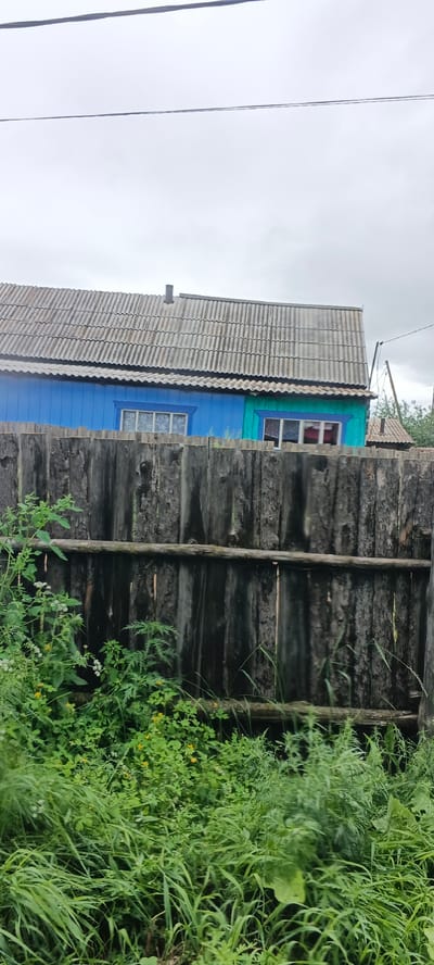 This is a vertical, eye-level, medium shot of a weathered, rough-hewn wooden fence in the foreground. Beyond the fence, a portion of a blue and turquoise house with a corrugated metal roof is visible. Two windows with white lace curtains are present on the blue section of the house, and another window with red curtains is visible on the turquoise section. The sky above is overcast and a pale grey. The fence is constructed from vertical logs that vary in thickness and are spaced apart. Green grass and various leafy plants, some with small yellow flowers, grow along the base of the fence. In the background, beyond the house, a smaller structure with a similar corrugated roof and a chimney is partially visible, along with some trees and utility poles, suggesting a rural or semi-rural setting. The scene appears to be located in Alexandrovsky Zavod, Russia, based on the provided context.