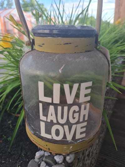 A dusty decorative lantern with the words "LIVE LAUGH LOVE" prominently displayed in white block letters stands outdoors in Garbsen, Germany. The lantern features a translucent glass body encased in a drab yellow, weathered metal frame, a dark gray lid, and an upright metal handle. Cobweb filaments and particulate dust adhere to the glass and metal surfaces, indicating prolonged exposure to the elements.
The lantern rests on dark soil, surrounded by a scattering of smooth, light-colored pebbles and small stones. Behind the lantern, dense, vibrant green foliage with long, narrow leaves forms a lush backdrop. To the left, a blurry yellow flower or bud is visible within the greenery, and further in the background, out-of-focus structures resembling greenhouses or polytunnels with orange-tinted roofs are present under a bright, light blue sky. To the right, additional green foliage and a blurry light brown vertical structure are visible. The scene is illuminated by natural daylight. No individuals are present.