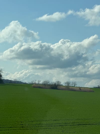 The image shows a landscape with a green field on the right side and a sky with clouds on the left. There are some trees separating the field from the sky. It's impossible to determine the location is Otradnaya, Russia, without additional information.