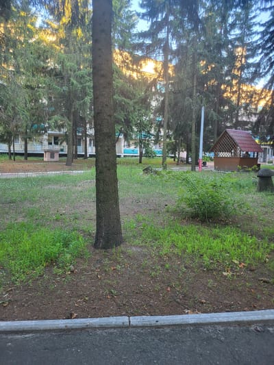 The image depicts an outdoor scene with a focus on a park-like area adjacent to a residential building. In the foreground, a tree trunk with rough bark is prominently featured. The ground is covered with a mixture of grass, dirt, and fallen pine needles. A concrete curb separates the grassy area from an asphalt surface, likely a road or sidewalk.
In the mid-ground, a small wooden gazebo with a red roof is visible on the right side of the image. To the left of the gazebo, a green bush is growing. Behind the trees, a multi-story residential building with light-colored walls and blue trim is visible. The building appears to be a typical apartment complex. Pine trees are scattered throughout the area, with sunlight filtering through their branches, creating dappled light on the ground.
The overall impression is that of a tranquil, somewhat overgrown park or common area in a residential neighborhood. The presence of the gazebo suggests a place for recreation or relaxation. The scene is captured during daylight hours, with the sun low in the sky, indicating it might be morning or late afternoon. There are no people visible in the image, and the overall atmosphere is one of quiet stillness. It is not possible to determine the specific location within Khotsky, Ukraine based on this image alone.