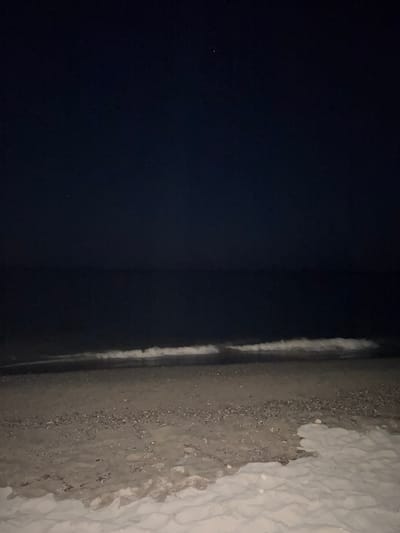The image depicts a nighttime view of a beach in Torreilles, France. The scene is dominated by the dark expanse of the ocean and sky, with a faint star visible in the upper portion of the sky. A thin line of white waves breaks along the shore, creating a subtle contrast with the dark water. The beach itself is composed of sand and small shells, with a more distinct area of lighter, smoother sand in the foreground, suggesting an area where the tide has receded. There are no people or man-made objects visible in the frame. The lighting is minimal, typical of a night scene with no artificial illumination.