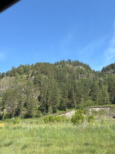 The image depicts a natural landscape with a clear blue sky above. A densely forested hillside dominates the middle ground, featuring a mix of coniferous and deciduous trees. The terrain is rugged with rocky outcrops visible amongst the trees. In the foreground, a lush green meadow stretches out, with tall grass and some scattered wildflowers. A slight elevation change with a cut bank is visible on the right side of the frame, showing layered soil. A dark, blurred object, possibly part of a vehicle or structure, is visible in the upper left corner. A thin, dark line, likely a utility wire, is stretched across the sky in the upper right quadrant. There are no people or animals visible in the frame. The scene appears to be a daytime, outdoor environment, likely in a rural or natural setting near Turbaza Katun', Russia, characterized by its mountainous terrain and abundant vegetation.
