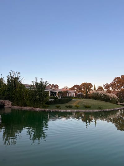 A serene view showcases a clear sky meeting the edge of a tranquil lake. The water reflects a stately house with manicured lawns, adorned with neatly trimmed hedges and decorative plants. Tall pampas grass and various trees add texture to the landscape, bordering the water's edge. The scene is bathed in the soft, diffused light of either sunrise or sunset, enhancing the peaceful ambiance.