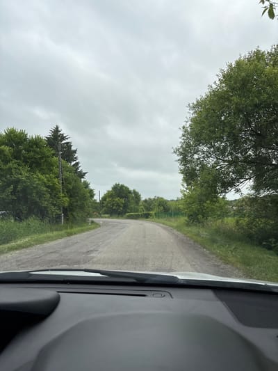 The image shows a view from inside a vehicle looking out at a paved rural road in Siniy Gay, Russia. The road curves to the left and is lined with green trees and grass. The sky is overcast and gray. The dashboard of the vehicle is visible in the foreground. There are no people or animals visible in the image. The environment appears to be a rural area with dense vegetation.
