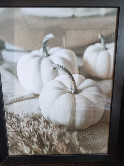 This is a close-up, framed photograph of several small, white pumpkins arranged on a textured surface. The pumpkins are the primary subjects, with one in the foreground exhibiting a curved stem. A blur of dried grasses or reeds is visible in the lower left corner, suggesting an autumnal or rustic setting. The overall color palette is muted, consisting of whites, tans, and grays, giving the image a soft, sepia-toned appearance. The background is out of focus but hints at a larger, rounded object, possibly another pumpkin or decorative item. The lighting appears to be soft and diffused, with no harsh shadows, contributing to a calm and serene mood. There is no visible text or indication of a specific time of day or weather conditions. The photograph is framed in a dark, simple border. The scene is likely indoors, perhaps as part of a seasonal decoration.
