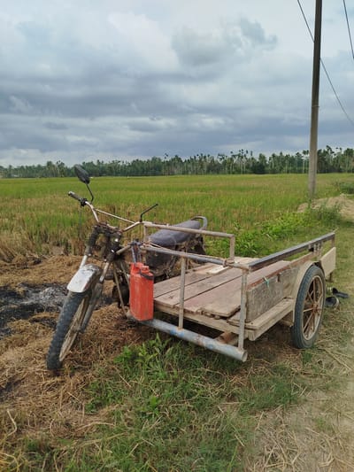 The image depicts a rural agricultural landscape under a cloudy, overcast sky. In the foreground, an old, functional motorcycle with an attached wooden sidecar is parked on a patch of grassy and straw-covered ground. The motorcycle features a worn black seat, scuffed handlebars, and a white front fender, with a red jerry can securely tied to its frame. The sidecar, constructed from metal supports and wooden planks, appears robust and designed for utility.

To the left of the motorcycle's front wheel, a visible area of burnt straw or stubble indicates recent agricultural activity, such as land clearing. The ground beneath the vehicle is a mix of green grass and dried, light brown straw.

In the mid-ground, vast green rice fields stretch towards the horizon, bordered by a dense line of tall palm trees. To the far right, a grey utility pole with overhead power lines stands tall, providing a vertical element against the expansive sky. The sky itself is filled with heavy, grey clouds, suggesting an overcast day with no direct sunlight.

No people are visible in the scene, and there is no discernible text. The overall setting evokes a sense of rural life and agricultural work in Lawang, Indonesia, where such utility vehicles are commonly used for transport across farming areas.