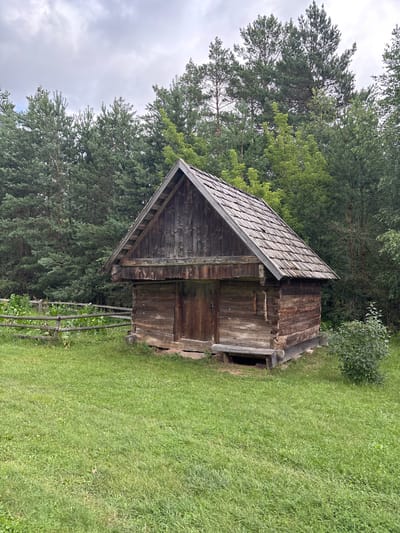 The image depicts a rustic wooden shed situated in an outdoor environment, likely a park or historical site. The shed, constructed from dark-stained logs, features a steeply pitched roof covered in wooden shingles. A wooden door is visible on the front of the structure, and a simple wooden bench is placed beneath the overhang. The shed is surrounded by a lush green lawn. In the background, a dense forest of pine trees and other deciduous trees forms a natural backdrop. A rustic wooden fence runs horizontally across the left side of the frame, with overgrown vegetation growing through it. The sky above is overcast, with clouds obscuring the sun. The overall impression is one of a historical, perhaps rural, setting. The metadata indicates the location as Sielachowskie, Poland. There are no people visible in the image.