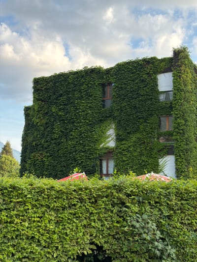 This media file displays a building facade completely covered in dense green ivy. The building has multiple windows, some of which are visible through the foliage. There is a bright red and white circular object partially visible on the right side of the building, suggesting it might be a sign or advertisement. In the foreground and to the right, a thick hedge of green foliage further obscures the view. The sky above is partly cloudy, with patches of blue sky visible between the white clouds. The overall impression is one of lush vegetation and a building integrated with nature. The lighting suggests it is daytime.