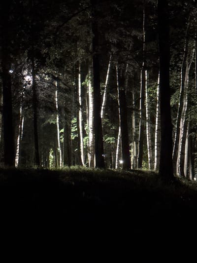 The image shows a forest at night, with artificial light illuminating the scene from the left. Several trees, mostly birches, are visible, with their white bark starkly contrasting against the dark foliage and the black sky. The ground is covered in grass and low-lying vegetation. The lighting creates a dramatic effect, with strong shadows and highlights. There are no people or animals visible in the image. The location is identified as a forest in the city of Volga, Russia.
