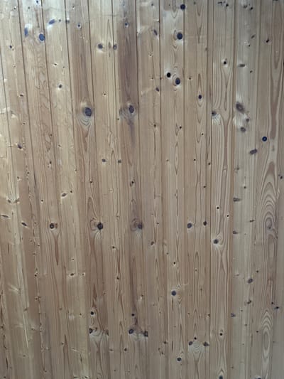 The image shows a close-up view of a light-colored wooden wall. The wood is vertically planked and has a natural grain pattern with visible knots. The planks are of varying widths and are joined together to form the wall. The lighting is even, casting no distinct shadows. There are no people, objects, or actions depicted in the image. The setting is a plain wooden wall, and without further context, its specific location in Speyer, Germany, cannot be determined from the visual information alone.