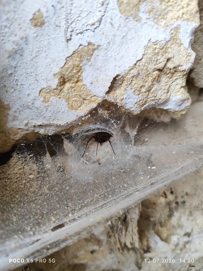 The image shows a spider in its web, positioned in a crevice between two rough-textured, light-colored surfaces, likely stone or concrete. The spider is dark-colored and appears to have eight legs. The web is delicate and catches the light, forming a complex network of threads. The surrounding environment is rustic, with peeling paint or plaster evident on the surfaces. The bottom of the image includes a watermark indicating "POCO X5 PRO 5G" and a date and time stamp "12.07.2026 14:00". The scene depicts a natural element in an outdoor or semi-outdoor setting.