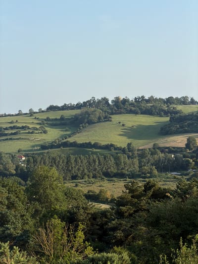 The image displays a pastoral landscape, likely in Dieppe, France. The scene is dominated by rolling green hills covered in lush grass and dotted with trees. Some of these trees are clustered together, forming dense woodlands along the contours of the hills, while others are more sparsely scattered across the fields. In the distance, a small cluster of buildings, one with a red roof, can be seen nestled amongst the trees, suggesting a rural dwelling or small hamlet. The sky is clear and bright, indicating a sunny day, possibly late morning or early afternoon, with soft shadows cast by the trees across the grassy slopes. The overall impression is one of tranquility and natural beauty. There are no people or specific objects clearly discernible as central subjects, but the landscape itself is the main focus. The time of day appears to be daytime, with clear skies and sunlight illuminating the scene. The location is suggested to be Dieppe, France, consistent with the rolling hills and agricultural-looking landscape.