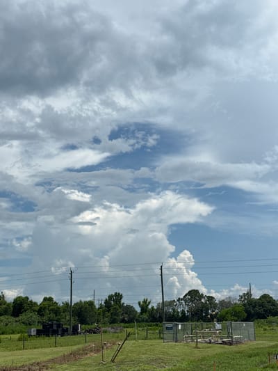 This is a full-frame, eye-level, outdoor, vertical shot of a cloudy sky over a rural area in Indiantown, United States of America. The sky is filled with dramatic, voluminous cumulus clouds with patches of blue sky visible between them. In the middle ground, a line of trees forms the horizon, with a cluster of black objects, possibly industrial materials, on the left. Power lines stretch across the scene, supported by utility poles. On the right side of the middle ground, a fenced-in area contains industrial equipment with pipes and valves. The foreground is a grassy field with some wooden stakes or markers. The scene appears to be a functional area with industrial elements integrated into a natural landscape.