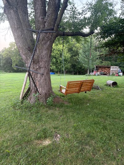 A wooden swing with two seats hangs from a large tree in a grassy yard. A metal frame is attached to the tree trunk, supporting one of the swing's suspension points. In the background, a shed filled with firewood is visible, along with a wheelbarrow and a truck. The location is identified as Holt, Michigan, United States. The scene is set outdoors during the day with natural lighting.