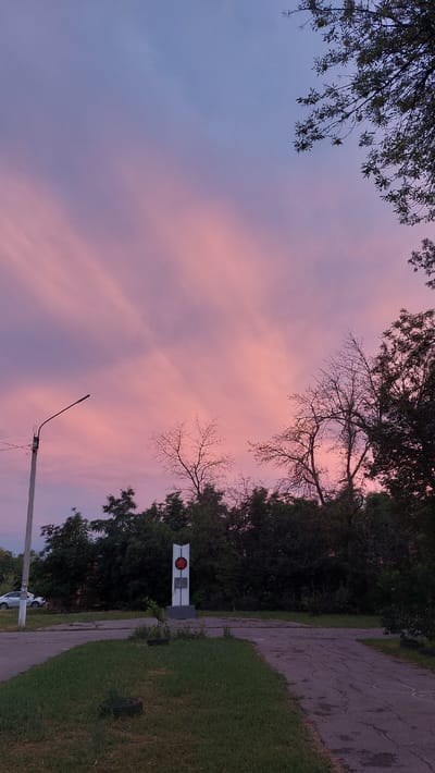 This is a vertically oriented photograph of a pink and purple sunset sky. The sky is filled with wispy clouds that are illuminated by the setting sun, creating a soft, pastel-colored effect. Trees with dark green foliage frame the top and right edges of the image, their branches silhouetted against the colorful sky. In the foreground, on the right side of the image, is a paved pathway, possibly a sidewalk, with green grass bordering it. A street lamp extends upwards from the right, its dark pole and fixture clearly visible against the sky. Further to the right and slightly behind the street lamp, a white sign with a red circular emblem is visible, possibly a marker or monument. The scene appears to be an outdoor setting, perhaps a park or residential area, in Novocherkassk, Russia. The time of day is clearly sunset, given the vibrant colors of the sky. The mood is serene and peaceful, evoked by the soft light and natural scenery. There is no visible text in the image.