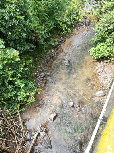 A stream flows between lush green vegetation on either side. Rocky banks lead down to the shallow, clear water. Debris, including plastic and branches, is visible on the left bank near the water's edge. A structure, possibly a bridge railing, with a yellow-painted section, appears on the right side. The stream bed is visible through the water, showing various-sized rocks.