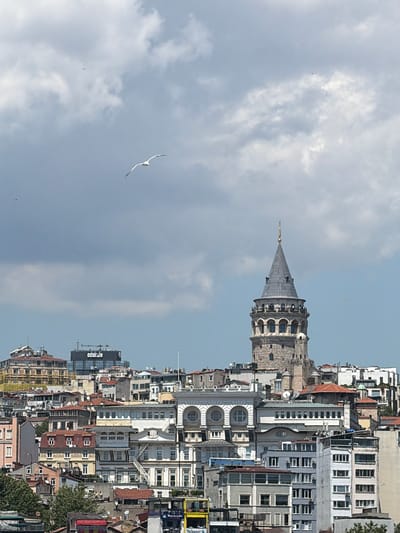 The image shows a view of the Galata Tower in Fatih, Istanbul, Turkey. The tower, a medieval stone structure with a conical roof, stands prominently against a partly cloudy sky. Below the tower, a dense collection of buildings with various architectural styles, including red-tiled roofs and white facades, fills the cityscape. Several birds, including a seagull in flight, are visible in the sky. The scene appears to be captured from a distance, suggesting a panoramic perspective of the city.