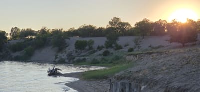 The image captures a natural scene at dusk near Issyk-Kul, Kyrgyzstan. The sun is setting, casting a warm glow on the horizon and creating a serene atmosphere. A wide, calm body of water, likely a lake, dominates the foreground, with gentle ripples suggesting a light breeze. On the left side of the water, a weathered piece of driftwood rests partially submerged, its gnarled branches stark against the water's surface. The shoreline is a mixture of sandy banks and patches of green grass. Beyond the water, a steep, sandy embankment rises, dotted with sparse vegetation and a scattering of trees. The embankment is crowned by a dense cluster of trees, their foliage silhouetted against the pale sky. The overall impression is one of natural beauty and tranquility, characteristic of the Issyk-Kul region.
