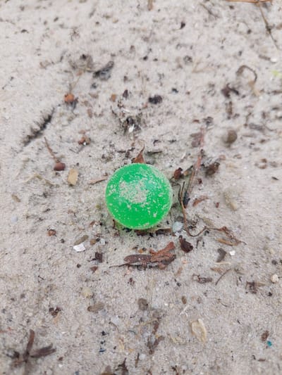A bright green, spherical object, possibly a bead or small ball, rests on a sandy surface. The sand is light in color and appears to be mixed with small pebbles, shells, and organic debris such as dried leaves and twigs. The object is slightly textured and has a matte finish, with some lighter specks visible on its surface, possibly sand grains. The background is out of focus, but suggests more of the same sandy environment. This scene is located on the sandy banks of the river in the village of Alikonovka, Russia.