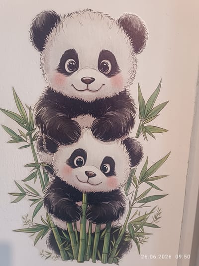 This is a close-up, eye-level, vertical shot of a drawing featuring two cartoon pandas stacked on top of each other amidst bamboo stalks. The pandas are depicted in a stylized, adorable manner with large, round eyes, rosy cheeks, and black and white fur. The top panda has its paws resting on the head of the bottom panda, while the bottom panda holds onto bamboo stalks with its paws. The bamboo is rendered in vibrant green with distinct leaves and segmented stalks. The background is a plain, light-colored wall, suggesting the drawing is a sticker or print adhered to a wall. The overall mood is playful and charming, evoking a sense of innocence and cuteness. There is a timestamp in the lower right corner of the image: "26.06.2026 09:50". This suggests the photo was taken on June 26, 2026, at 09:50 AM. The location context provided is Strovolos, Cyprus.