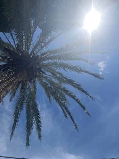 A low-angle shot shows a tall palm tree reaching into a bright blue sky with scattered white clouds. The sun is positioned to the upper left, causing a lens flare. The palm tree's trunk is thick and textured. Palm fronds radiate outwards, silhouetted against the sky. The location is suggested as Urbanització La Cometa, Spain.