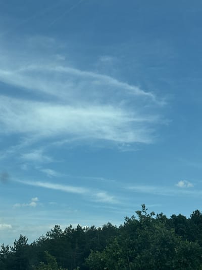 The image shows a wide, bright blue sky with wispy white clouds stretching horizontally across it. The lower portion of the image is dominated by a dense, dark green forest canopy. The trees appear to be coniferous and deciduous, with the tops of the trees forming an uneven silhouette against the sky. The scene is consistent with an outdoor environment, possibly a park or natural area within or on the outskirts of the village of Kalugerovo, Bulgaria, given the description. There are no people or specific objects of interest clearly visible in the foreground or midground. The lighting suggests it is daytime, likely mid-morning or afternoon, with the sun high in the sky.