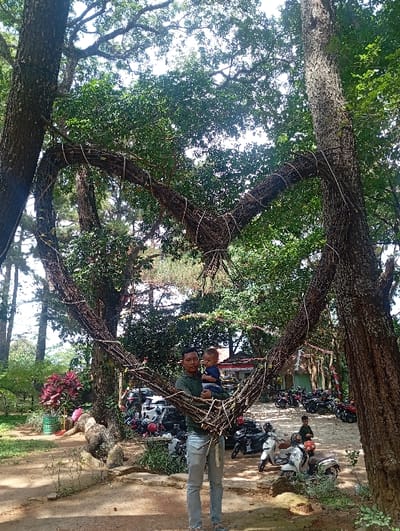 The image shows an outdoor scene in Kajar, Indonesia. A male adult, dressed in a dark green long-sleeved shirt and light blue jeans, stands centrally, holding an infant dressed in a dark blue shirt. Both individuals face the camera. They are positioned within the lower section of a large, heart-shaped archway constructed from interwoven branches and twigs, which is anchored to or suspended between two substantial trees with dark, rough bark. The ground beneath them is dirt. In the mid-ground, a dirt parking area is visible, containing numerous parked motorcycles, including scooters, and at least two automobiles. Other individuals are present in the background near the parked vehicles. The environment is heavily forested with abundant green foliage and tall trees forming a dense canopy overhead. A building with a red roof is partially visible in the far right background. The scene is illuminated by daylight.