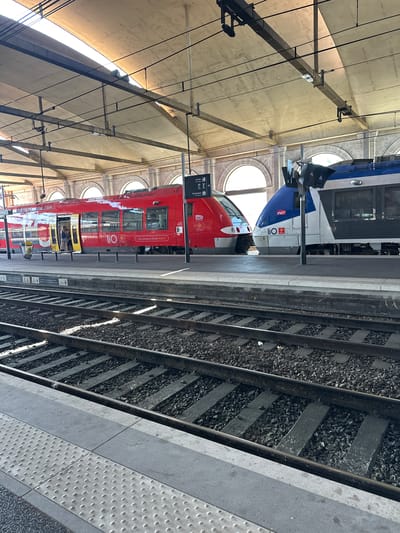 This media file captures a scene at a train station in Nîmes, France, featuring two passenger trains stopped at adjacent platforms. The image is oriented vertically.

The train on the left is predominantly blue and white, with "SNCF" branding visible. The train on the right is bright red, with "Les transports de ma Région" and "iiO" logos displayed. Both trains appear to be modern passenger railcars. The station features a vaulted ceiling with arched windows, suggesting historical architecture. Overhead electrical lines are suspended from the ceiling. The platforms are paved with textured tiles, including tactile paving, and are bordered by train tracks.

The scene appears to be set during daylight, with sunlight entering the station through the arched windows and illuminating the ceiling. The weather seems clear. No specific activity or event is clearly depicted, beyond the trains being stationary at the station, likely awaiting passengers or having just arrived. A few people are visible inside the red train near an open doorway, but their activities are not discernible.

Visible text includes "SNCF" and "iiO" on the trains, and directional signage for "Sortie" (Exit) and "Ascenseur" (Elevator) on a pole at the platform edge. The location context confirms the setting as Nîmes, France.