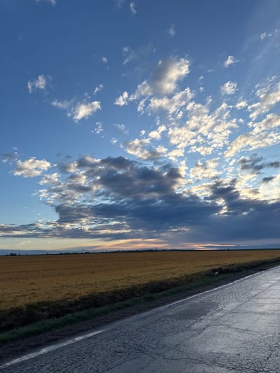 The image depicts a rural landscape in Sofronievo, Bulgaria, at dusk. The sky occupies the upper two-thirds of the frame, featuring a clear blue expanse in the upper left transitioning to a mix of white, grey, and dark stratocumulus clouds towards the right and lower sky. Patches of light from the setting sun are visible through gaps in the clouds, particularly above the horizon. The horizon line is flat and extends across the entire width of the image, showing a faint orange and pink glow from the sunset. A thin, dark line of distant vegetation or trees is visible along the horizon.
The midground consists of an expansive, cultivated field of golden-brown crops, likely grain, extending from the left edge to the right. This field is separated from the foreground by a dark, narrow strip of denser vegetation or a ditch.
The foreground features a weathered, grey asphalt road, diagonally traversing the lower right portion of the image. The road surface exhibits extensive cracking and some patches of moisture, reflecting the sky. A distinct white painted line marks the left edge of the road, bordering a narrow strip of dark ground and sparse green vegetation before the ditch. A small, light-colored object, possibly debris, is discernible within the ditch area where it meets the field on the right side of the frame. No individuals are present in the scene.
