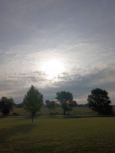 This is an image of a grassy field with several trees in the background. The sky is cloudy with the sun partially visible through the clouds. There is a road in the middle ground. The location is not Paris, United States of America.