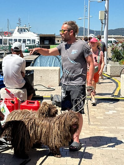 In the Saint-Tropez harbor, under a clear blue sky, a man with blond hair tied back, wearing sunglasses, a grey t-shirt with the text "MAGIC COSTA VENDEE 2020," and denim shorts, stands pointing with his left hand. He is holding a rope attached to two Hungarian Puli dogs, identifiable by their long, corded fur. The dogs are standing on a stone-paved walkway. To the left, a person in a white t-shirt and white baseball cap is seated on a stone block, facing away from the camera. Next to them are two red jerrycans and a white plastic bag. Behind the man and dogs, a woman in a pink hat and patterned dress walks away, followed by other pedestrians. In the background, a white ferryboat is docked, and further down the quay, a brown wooden structure with text is visible, along with other boats and buildings. The overall scene depicts a sunny day at the bustling port of Saint-Tropez.