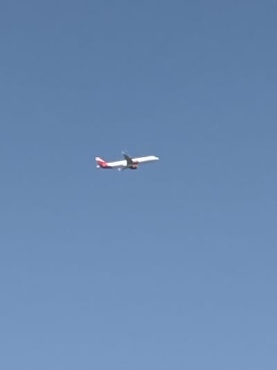 A white glider, with red and black accents, is depicted mid-flight against a clear, pale blue sky. The glider is oriented vertically in the frame, its wings spread wide, suggesting it is either ascending or descending. The light on the glider indicates it is daytime, likely under sunny conditions. The overall impression is one of open space and freedom, with the vast sky serving as the sole backdrop. No text is visible in the image.