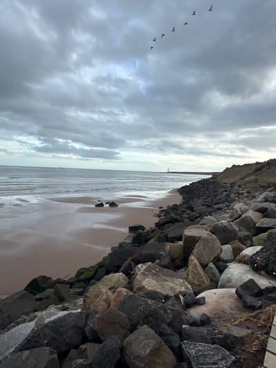 The image depicts a coastal scene in Montrose, United Kingdom, under an overcast sky. In the foreground, a substantial riprap sea defense constructed from large, irregularly shaped boulders, many covered with green algae or moss, extends along the right side and into the midground. To the left of these rocks, a wet, sandy beach is visible, marked by patterns from receding waves. The North Sea occupies the left half of the image, showing gray-green choppy water with visible wave activity. On the distant horizon, a tall, slender white lighthouse or navigation tower stands prominently where the water meets a low, grassy landmass on the right. Further to the left on the horizon, a darker, indistinct vessel is present. Overhead, six birds fly in an inverted V-formation against the cloudy sky, which features patches of brighter, lighter gray. No people are visible.