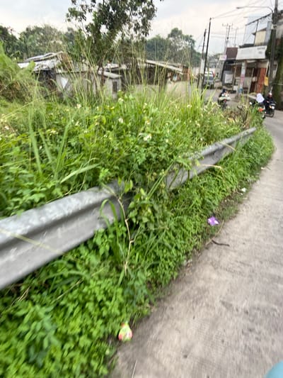 The image shows a side view of a paved road in Kecamatan Margaasih, Indonesia (latitude: -6.963, longitude: 107.545). The road is lined with a metal guardrail, and thick green vegetation grows along the roadside. The road slopes downward toward the right side of the image. There is a small amount of litter on the road, including a purple plastic bag, a green-and-yellow container, and some unidentified debris. The image was taken on an overcast day. A few small white flowers can be seen in the vegetation. Buildings can be seen in the background, but they are out of focus. The buildings are in a state of disrepair. The overall scene is one of neglect.