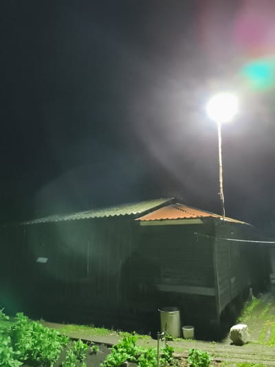 In Il'mino, Russia, at night, a weathered wooden building with a corrugated metal roof stands under a bright, tall light pole. The light illuminates the building and a small patch of green plants in the foreground. Rain is falling, creating streaks of light on the roof and in the air. Two buckets and a large rock are visible near the building. The scene is dark and somewhat hazy, with the intense light source creating lens flare and a diffused glow.