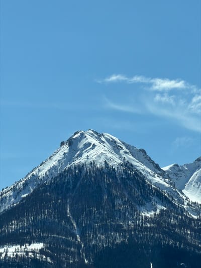 The image displays a prominent, snow-capped mountain under a clear blue sky, consistent with a high-altitude landscape in the French Alps near Briançon. The mountain's upper slopes and jagged peak are covered in bright white snow, interspersed with exposed grey rock formations. Below the snowline, a dense coniferous forest, composed of numerous slender, dark trees, extends downwards, covering a significant portion of the mountain's mid-section. Individual trees and clusters of trees are visible against the snow in the transition zone. The sky occupies approximately the upper two-fifths of the frame, presenting a vibrant azure hue with minimal cloud cover, save for a few faint, wispy white clouds located in the upper right quadrant. No human figures, animals, structures, or man-made objects are present in the scene. The illumination suggests direct sunlight, creating distinct shadows that define the mountainous terrain.