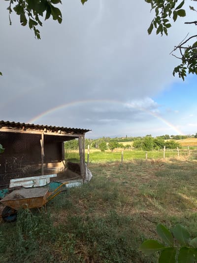 A pastoral landscape unfolds under a dramatic sky, where a vibrant rainbow arches across a gradient of grey and blue clouds. In the foreground, a rustic, weathered chicken coop, constructed with corrugated metal roofing and wire mesh walls, stands partially in shadow. To the left of the coop, a rusty, old wheelbarrow rests on the grassy ground, its metal basin filled with dry material. The coop appears to be situated in a rural area, possibly on the outskirts of Kyzyl Shalola, Uzbekistan, given the presence of sparse vegetation, dry grasses, and a distant line of trees and fields suggesting agricultural land. Wooden fence posts mark the boundary of a field, and the overall impression is one of a quiet, undeveloped, and possibly working agricultural setting. The lighting suggests a time shortly after or during a rain shower, given the presence of the rainbow and the somewhat overcast sky.