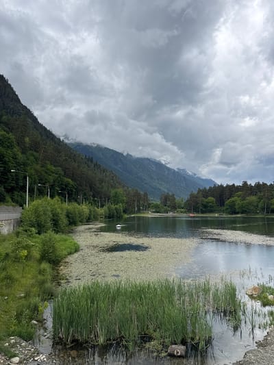 The image depicts a serene lake scene in Verkhnyaya Teberda, Russia, under a dramatic, overcast sky. On the left, a steep, densely forested mountainside slopes down towards the lake, with a concrete wall and streetlights lining the shore. The lake itself is partially covered with a thick layer of aquatic vegetation, resembling lily pads, and tall reeds grow along the foreground edge. In the distance, across the water, a line of evergreen trees forms a dark border, with the majestic peaks of the Caucasus Mountains rising beyond, their summits partially obscured by low-hanging clouds. A small white paddle boat is visible on the lake, and a few scattered red objects, possibly buoys or flags, are also present. The overall atmosphere is one of natural beauty and tranquility, enhanced by the moody sky.