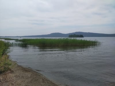 The image shows a wide, calm lake under an overcast sky. The foreground features a sandy and rocky shore with some sparse vegetation. In the middle ground, a large patch of tall green reeds grows in the shallow water. Across the lake, a distant, hazy shoreline with rolling hills is visible. One of the hills has a radio tower on its summit. The overall scene is natural and tranquil. This scene is consistent with views of Lake Burabay near Shchuchinsk, Kazakhstan, a popular resort area known for its natural beauty and clear waters.