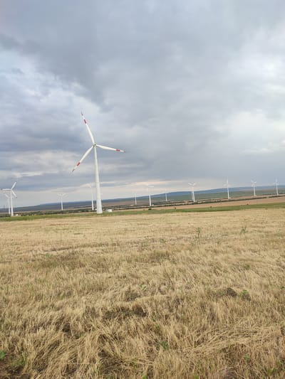 This image captures a wind farm in Starodvortsovskiy, Russia, under a cloudy sky. The foreground is dominated by a field of dry, golden stubble, likely the remnants of a harvested crop, with a few scattered green plants. In the mid-ground and background, numerous white wind turbines stand tall, their blades extended. The turbines are arranged in rows, stretching towards the horizon. The sky is overcast with a mix of grey and white clouds, suggesting a potentially cool or humid day. The overall scene is one of an agricultural landscape transformed by renewable energy infrastructure. No people or animals are visible, and no text is present in the image. The time of day is not definitively discernible due to the overcast conditions. The setting appears to be rural, with rolling hills visible in the distance behind the wind turbines.