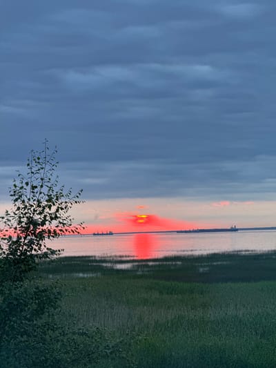 The image depicts a serene sunset over the Gulf of Finland, viewed from the city of Lebyazhye, Russia. In the foreground, a cluster of green foliage, possibly a birch tree, frames the left side of the composition. Beyond the foliage, a body of calm water stretches to the horizon, reflecting the vibrant hues of the sunset. Several large cargo ships are visible on the water, silhouetted against the sky. The sky itself is a dramatic canvas of deep blues and grays, with streaks of fiery red and orange where the sun is setting. The far shore is a faint line in the distance. The overall atmosphere is one of tranquility and natural beauty.