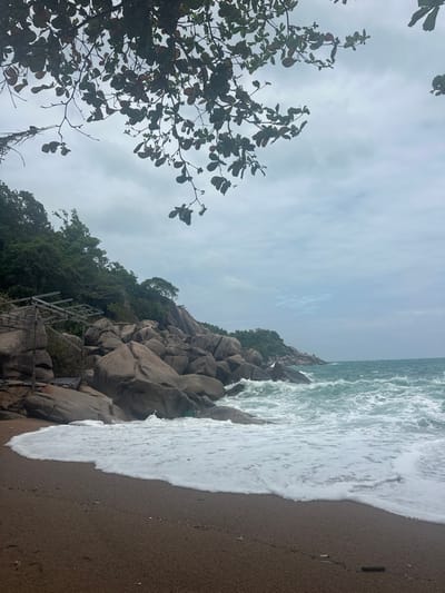 A coastal scene shows a rocky cliff meeting the ocean. Large granite boulders form the cliff, partly covered in green trees. Waves crash against the rocks and beach, creating white foam. Dark sand is visible on the shoreline. A leafy tree branch frames the left side of the scene. The sky is overcast with grey clouds.