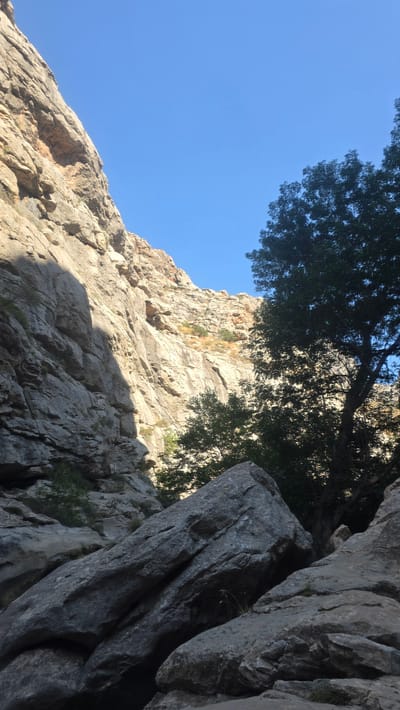 The image depicts a view looking up into a rocky canyon under a clear blue sky. A large, light-colored rock face dominates the left side of the frame, with a deep shadow cast across its lower section. Sunlight illuminates the upper portion of this rock face and continues up the canyon wall, revealing textured, layered rock formations and sparse dry vegetation. To the right, a dense canopy of dark green trees rises, partially obscuring the sky and the canyon's far wall. In the foreground, several large, weathered boulders are scattered across the canyon floor, appearing to have fallen from the surrounding cliffs. The scene suggests a natural, rugged outdoor environment. The location is identified as the city of Terekty, Kazakhstan.