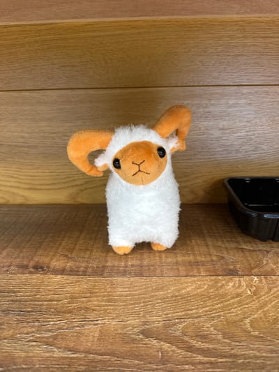 A small, white plush toy sheep with orange ears and horns lies on a wooden surface. The sheep is positioned horizontally, with its head facing left and its body extending to the right. Its face is detailed with black button eyes and embroidered features, including a small mouth. The sheep's body is fluffy and white, contrasting with its orange extremities. Behind the sheep, a dark, rectangular object with a shiny surface is visible, likely a piece of electronic equipment. The background consists of wooden planks with a distinct grain pattern, suggesting it could be a table or a wall. The lighting appears to be artificial, casting soft shadows. The overall scene is static, with no activity taking place. The location cues are limited to the wooden surface and the electronic device. There is no visible text in the image.