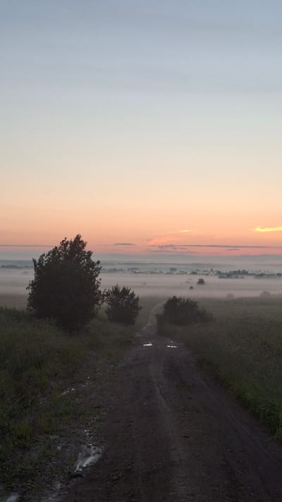 This image captures a serene, misty morning scene on a dirt road leading through a rural landscape. The sky transitions from a pale blue at the top to soft hues of pink and orange near the horizon, suggesting either sunrise or sunset. A thick layer of fog blankets the distant fields and a small village, obscuring many details but hinting at the presence of buildings with roofs. In the foreground, a dark dirt road, wet in places with visible puddles, winds its way into the distance. Tall, dark trees stand on either side of the road, with one prominent, bushy tree on the left and smaller bushes further down the path. The ground bordering the road is covered with grass and vegetation. The overall impression is one of tranquility and a quiet, natural setting, likely in the village of Kaporskoe, Russia, given the context. There are no people or animals visible in the frame, and no actions or interactions are taking place.