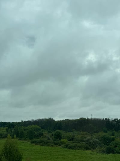 The image depicts an overcast sky over a rural landscape. In the foreground, a dense, green field stretches across the lower portion of the frame. Behind this field, a line of various trees and foliage creates a natural border. Power lines are visible in the distance, strung horizontally across the scene. The overall impression is of a cloudy, serene natural environment. The location is identified as Rep'evka, Russia. There are no people, animals, or specific objects of note other than the natural elements and infrastructure.